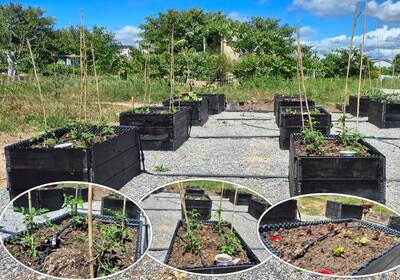 Mai 2026 : Fiers de notre potager d'entreprise