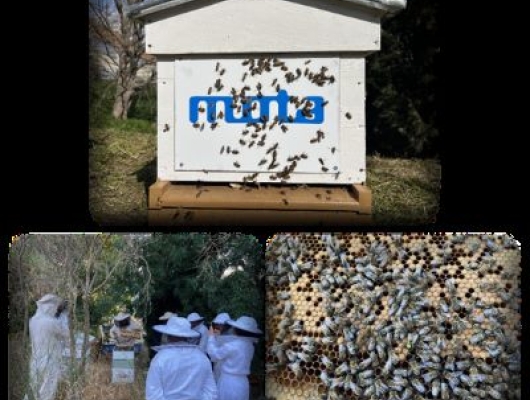 MOTA Beekeeper