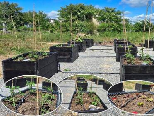 Mai 2026 : Fiers de notre potager d'entreprise